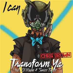 Chris Brown  - I Can Transform Ya download flac