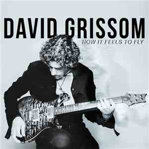 David Grissom - How It Feels To Fly download flac
