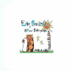 Edie Brickell & New Bohemians - Shooting Rubberbands At The Stars download flac