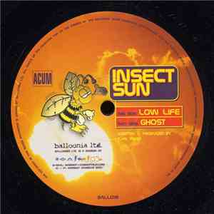 Insect Sun - Ghost / Low Life download flac