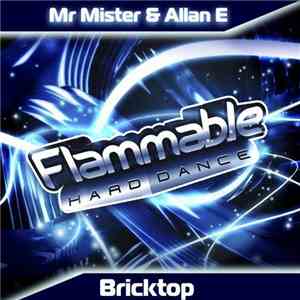 Mr Mister & Allan E - Bricktop FLAC album