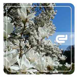 Various - Unlock 5th Anniversary EP download flac