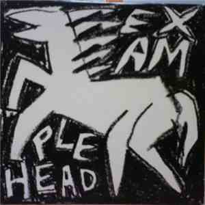 Examplehead - White Horse download flac