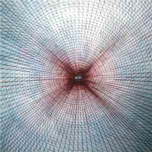 Rostau - To Die And To The Stars Ascend FLAC album
