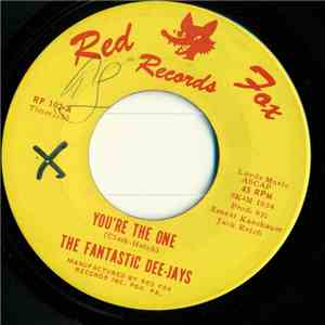 The Fantastic Dee-Jays - You're The One download flac