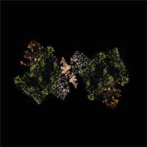 Woodsman  - Woodsman download flac