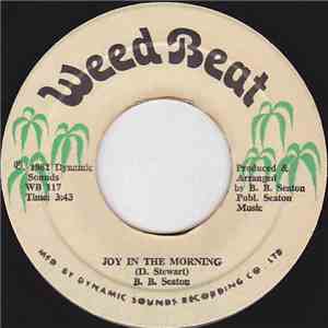 B. B. Seaton - Joy In The Morning download flac