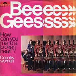 Bee Gees - How Can You Mend A Broken Heart download flac