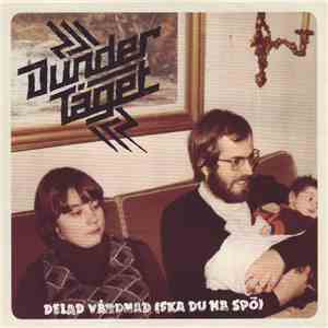 Dundertåget - Delad Vårdnad (Ska Du Ha Spö) download flac