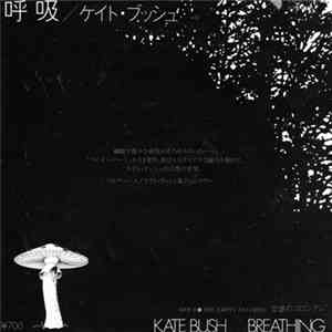 Kate Bush - Breathing download flac