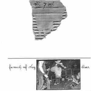 Liar / Family Of Dog - Split download flac