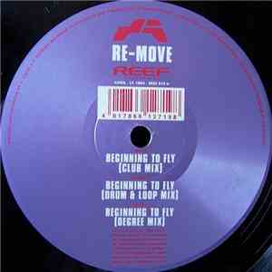 Re-Move - Beginning To Fly download flac