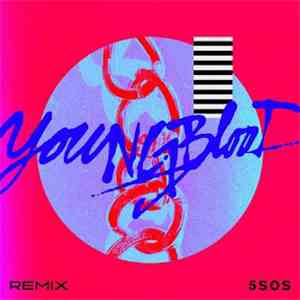 5 Seconds Of Summer - Youngblood (R3HAB Remix) download flac
