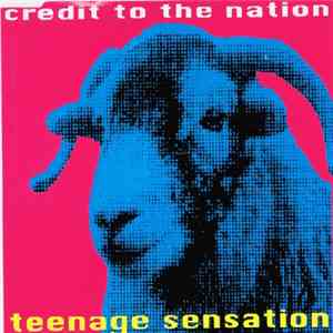 Credit To The Nation - Teenage Sensation download flac