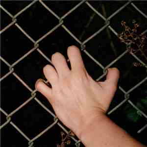 Culture Abuse - The Day Dreams of Nothing download flac