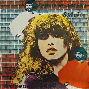 Pino Flamini - Sylvie download flac