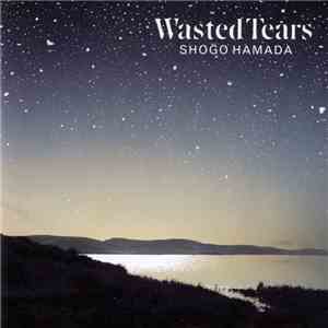 Shōgo Hamada - Wasted Tears download flac