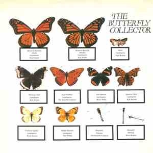 The Jam - The Butterfly Collector download flac