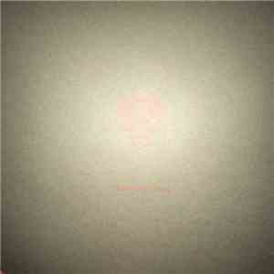 The Pink Noise - Birdland download flac