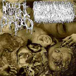 Agonizing Death / Disposal Of Human Corpses - Split download flac