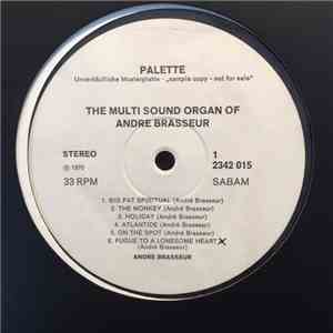 Andre Brasseur - The Multi Sound Organ of Andre Brasseur download flac