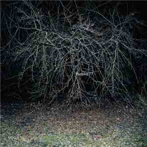 Musika 77 - Llanvair Llew download flac