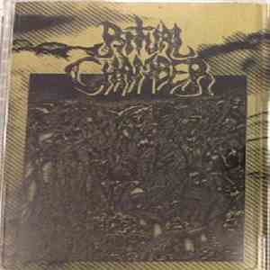 Ritual Chamber - The Pits Of Tentacled Screams download flac