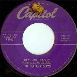 The Banjo Boys - Hey, Mr. Banjo download flac