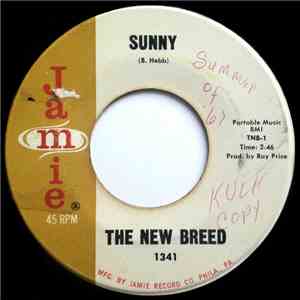 The New Breed  - Sunny / P.M. Or Later download flac