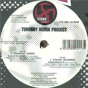 Tuneboy / The Raiders - Tuneboy Remix Project download flac