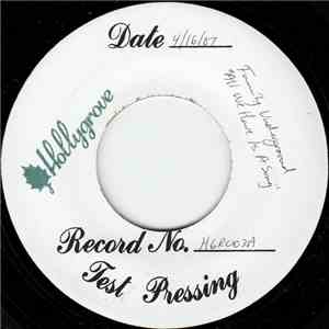Family Underground  - All We Have Is A Song / There Must Be An Answer download flac