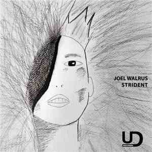 Joel Walrus - Strident download flac