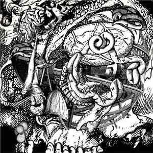 Organum - Drome download flac