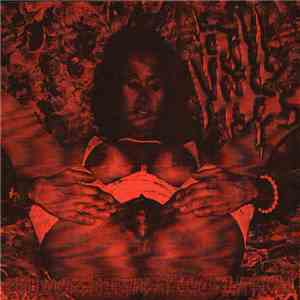 Rollmops - Rollmops Birthday Compilation 2008/2015 download flac