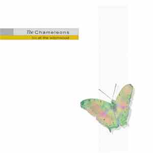 The Chameleons - Live At The Witchwood download flac