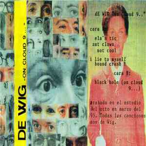 De Wig - On Cloud Nine download flac