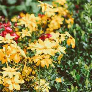 Jeff Kaale - Mai Tai download flac