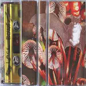 Lace Bows - Pollen Futures download flac