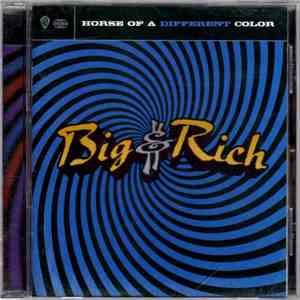 Big & Rich - Horse Of A Different Color download flac