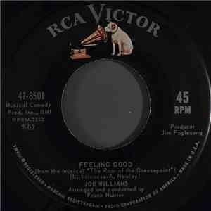 Joe Williams - Feeling Good download flac
