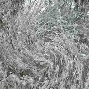 mwvm - mwvm ep download flac