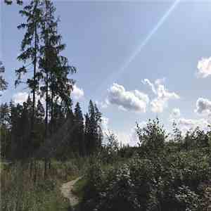 Razxca - Memas download flac
