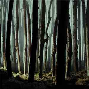 rhein - takes download flac