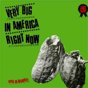 Voice Of Authority - Very Big In America Right Now download flac