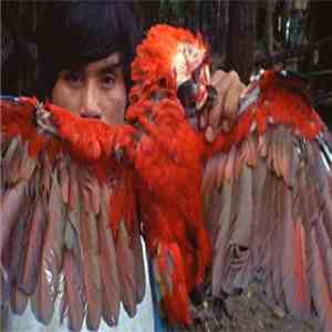 CFCF - C28 download flac