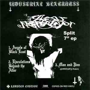 Jhesu Masturbator / Thy Feeble Saviour - Industrial Blackness download flac