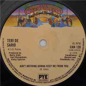 Teri De Sario - Ain't Nothing Gonna Keep Me From You download flac