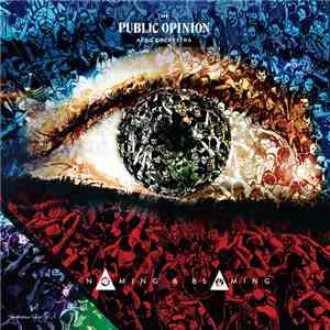 The Public Opinion Afro Orchestra - Naming & Blaming download flac