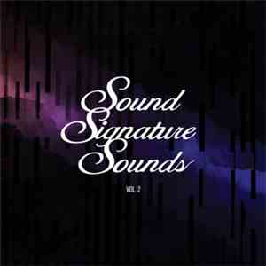 Theo Parrish - Sound Signature Sounds Vol. 2 download flac