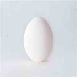 Wilco - A Ghost Is Born download flac